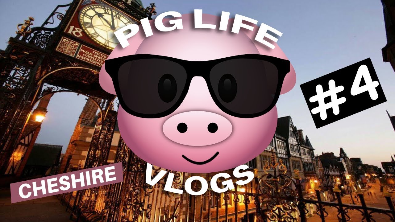 Pig Life Vlog - Road Trip To Cheshire!
