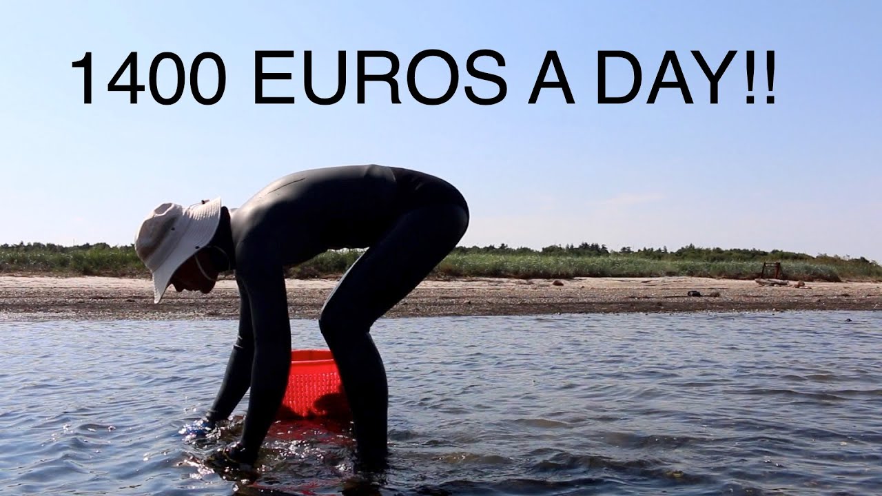Fishing for Pacific Oysters in Denmark - 1400 Euros a day!
