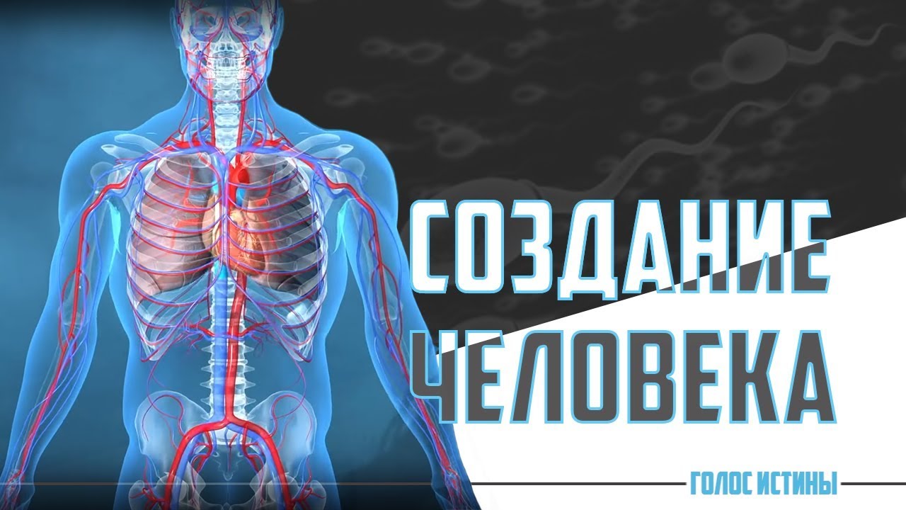 Создание человека | Научные чудеса Корана [5 выпуск] | Изд. 