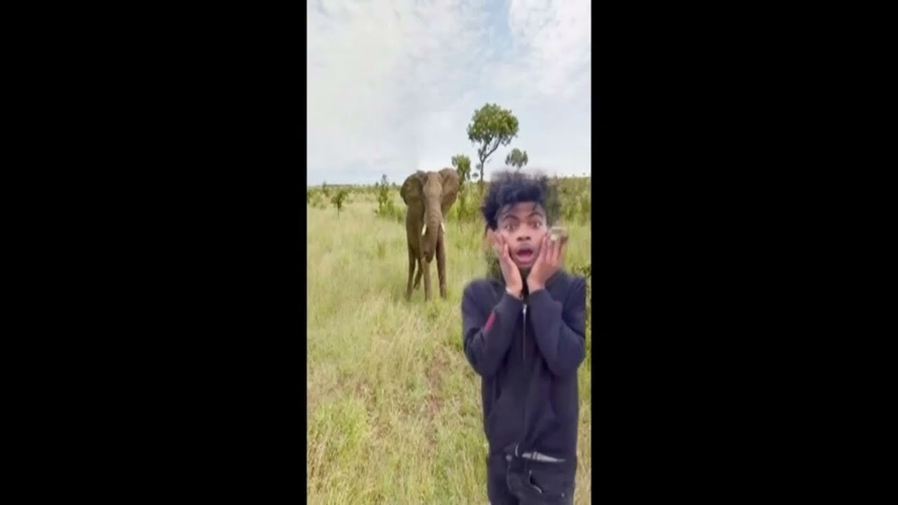 boolymon marrgielaa type beat ''race''