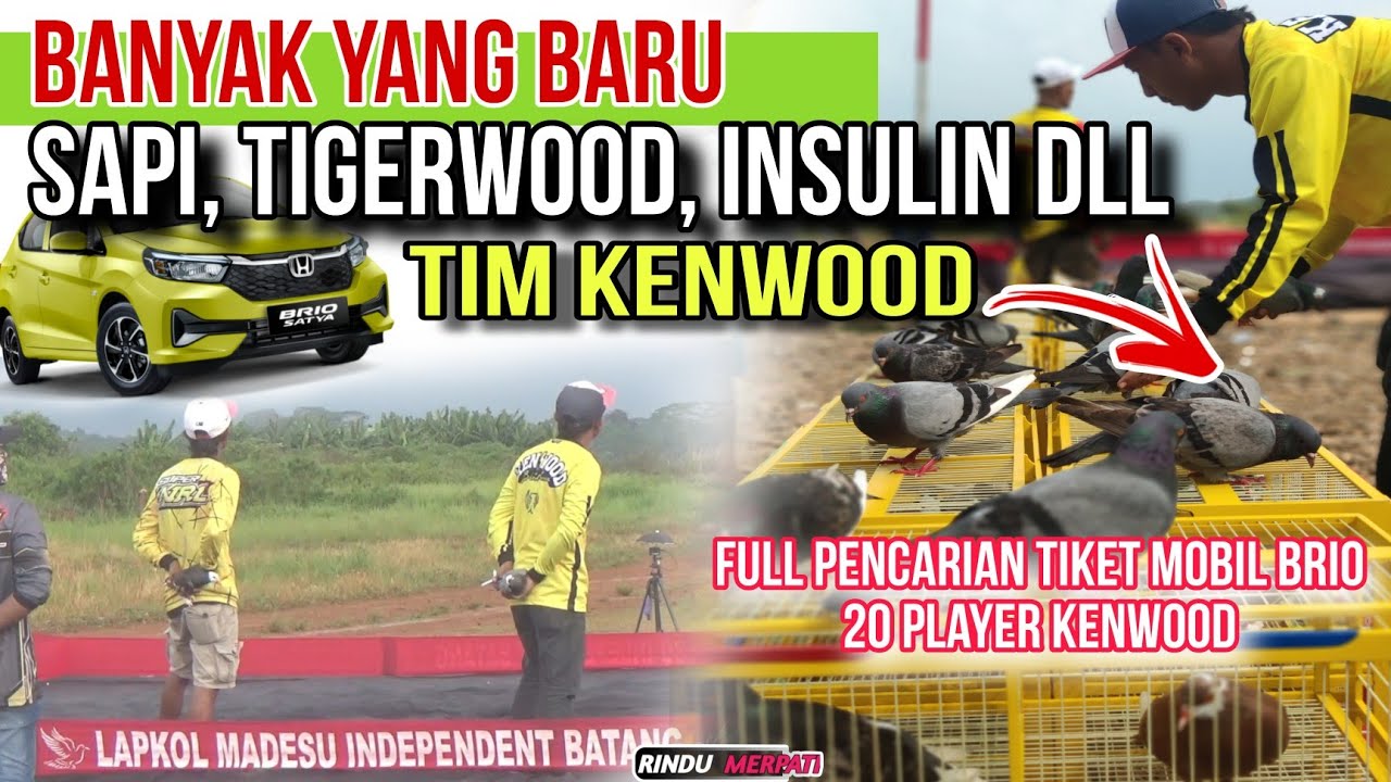 Daftarin Semua💥Full 20 Player's Tim Kenwood Cari Tiket Mobil Brio | Bupati Cup Kolong Madesu Batang