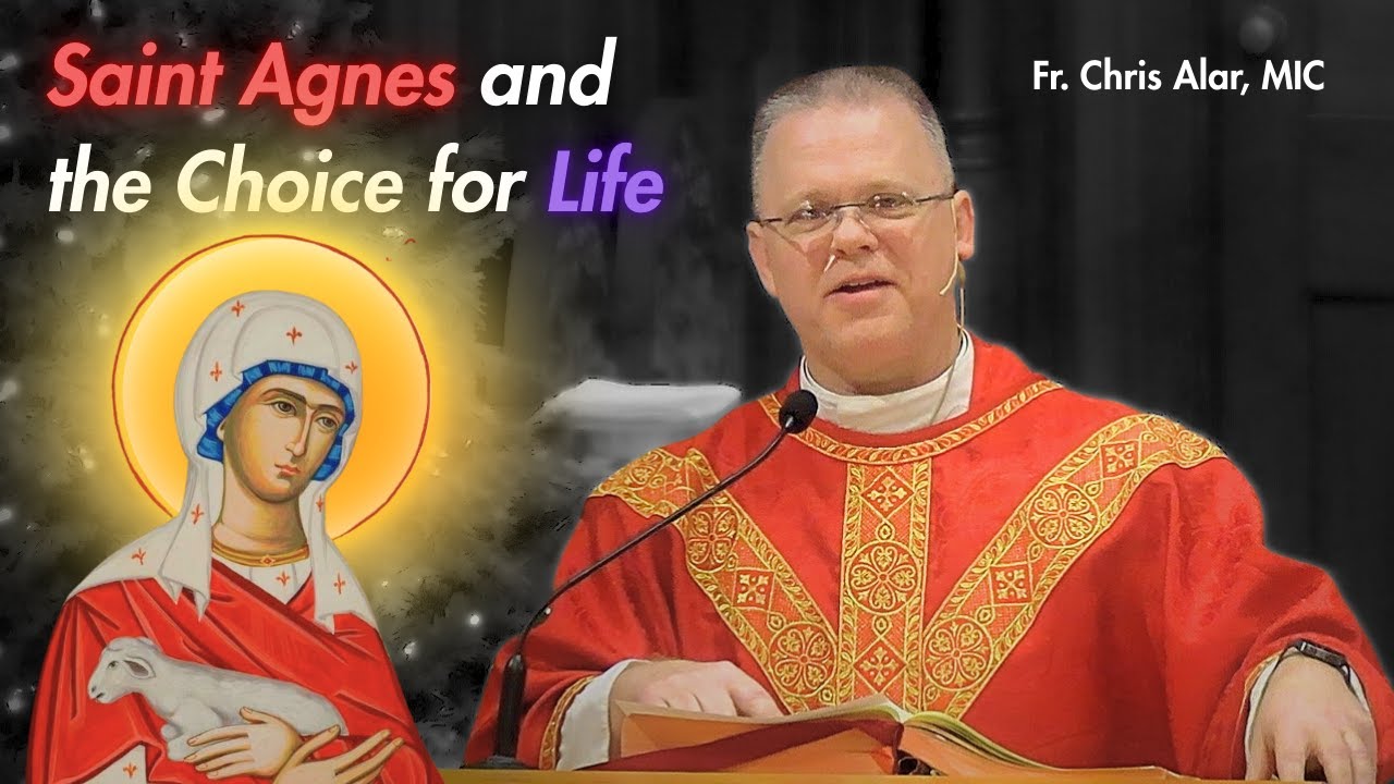 From Death to Life: Reading Scripture Through Christ