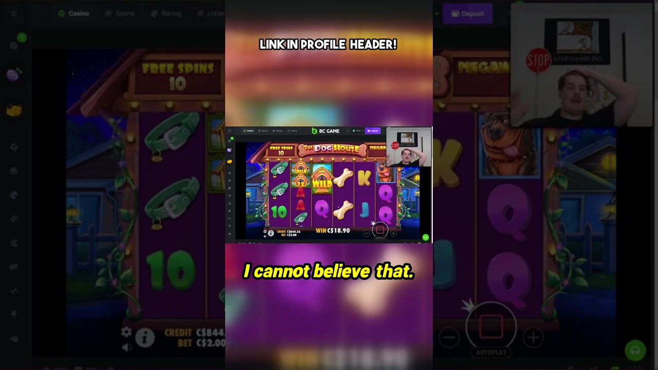 Unbelievable 6 Scatter Spin in Doghouse Megaways! 🎰💥