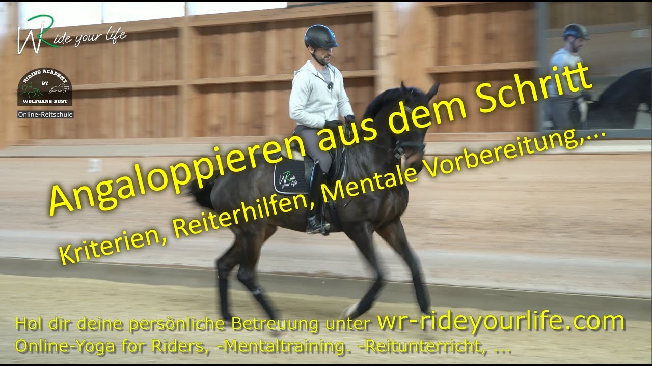 F201 Der Weg zum gesetzten Angaloppieren aus dem Schritt. Die wahre Arbeit mit Pferden.