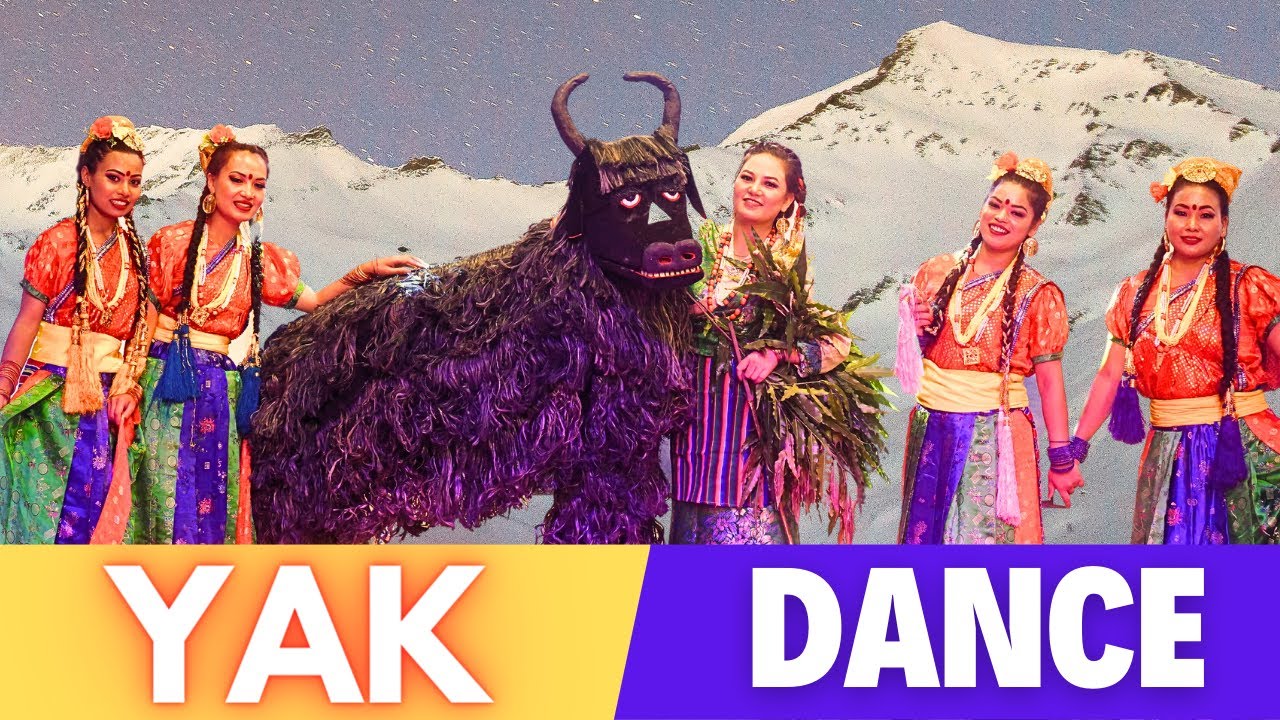 Yak Dance || Nepali Folk Dance | Divine Cultural Group Kathmandu, Nepal Brahmakumris Nepal