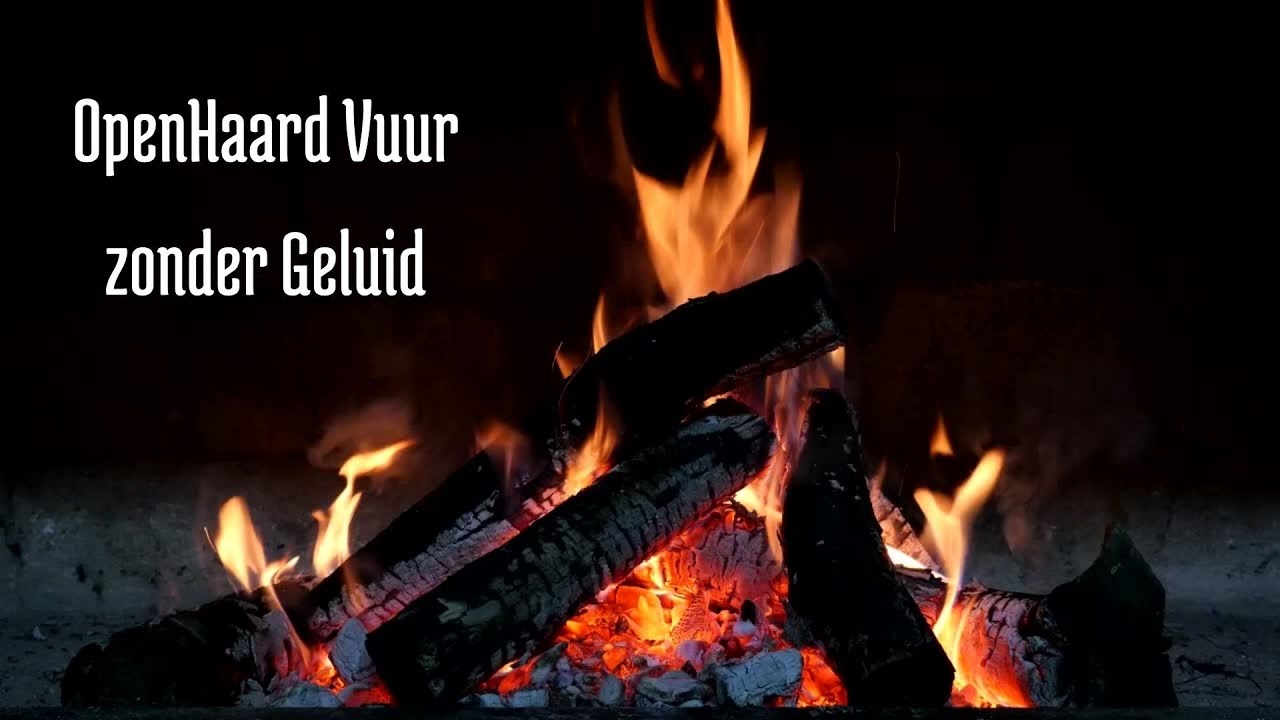 Houthaard 4 uur zonder Geluid | Houthaard Vuur 4 uur zonder Geluid