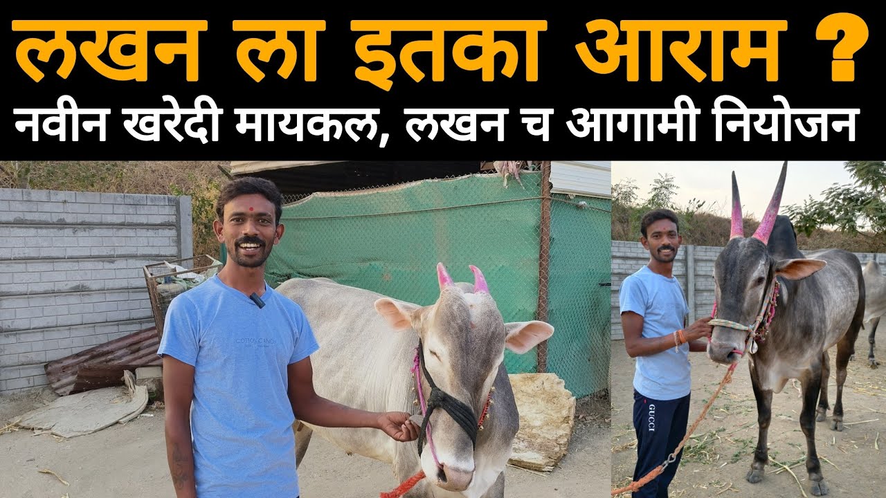 लखन च आगामी नियोजन, नवीन खरेदी मायकल | लखन ला इतका आराम का ?