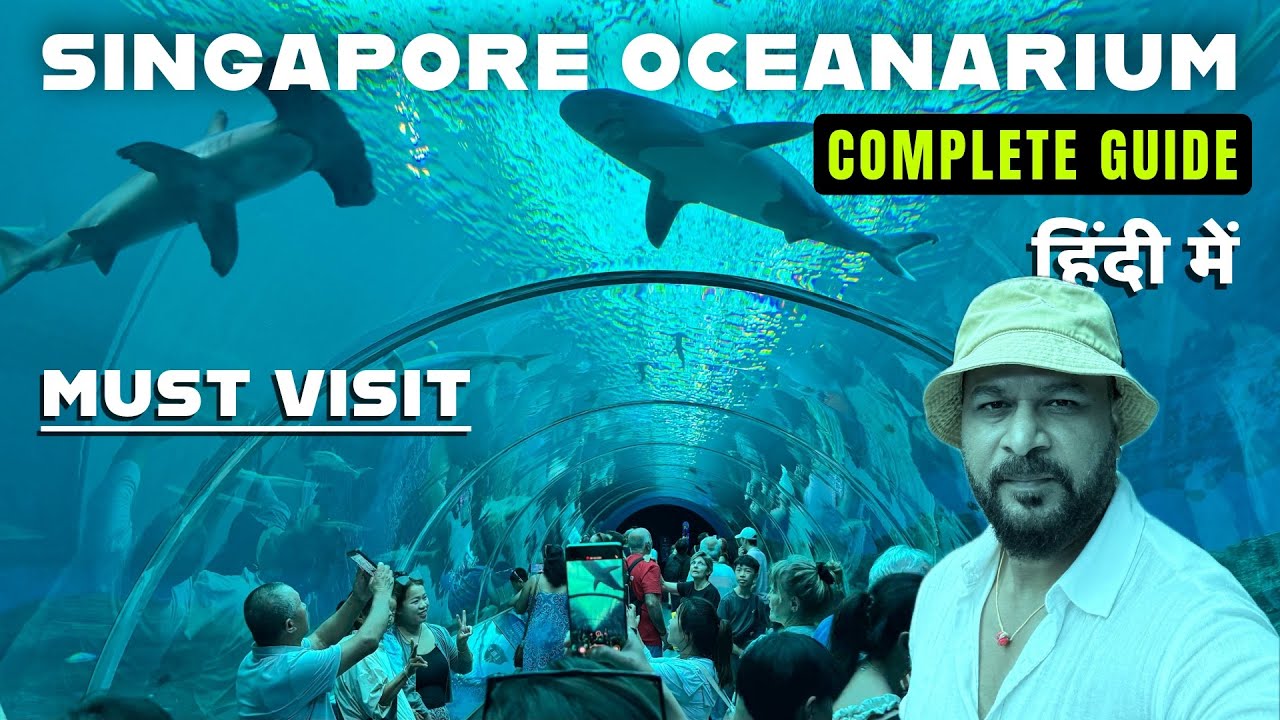 Singapore Oceanarium, Every Detail You need to Know Before Visiting, singapore oceanarium tour guide