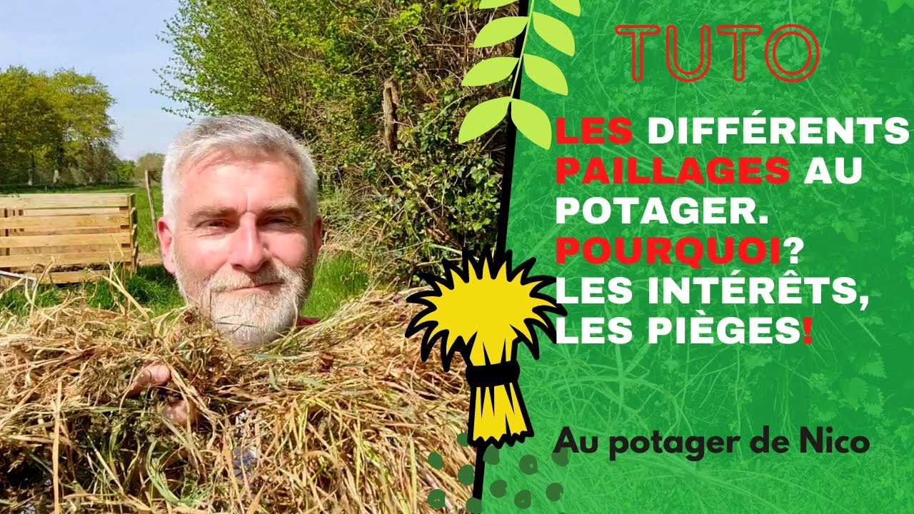 Les différents paillages 💡 au potager - les techniques, avantages et inconvénients.