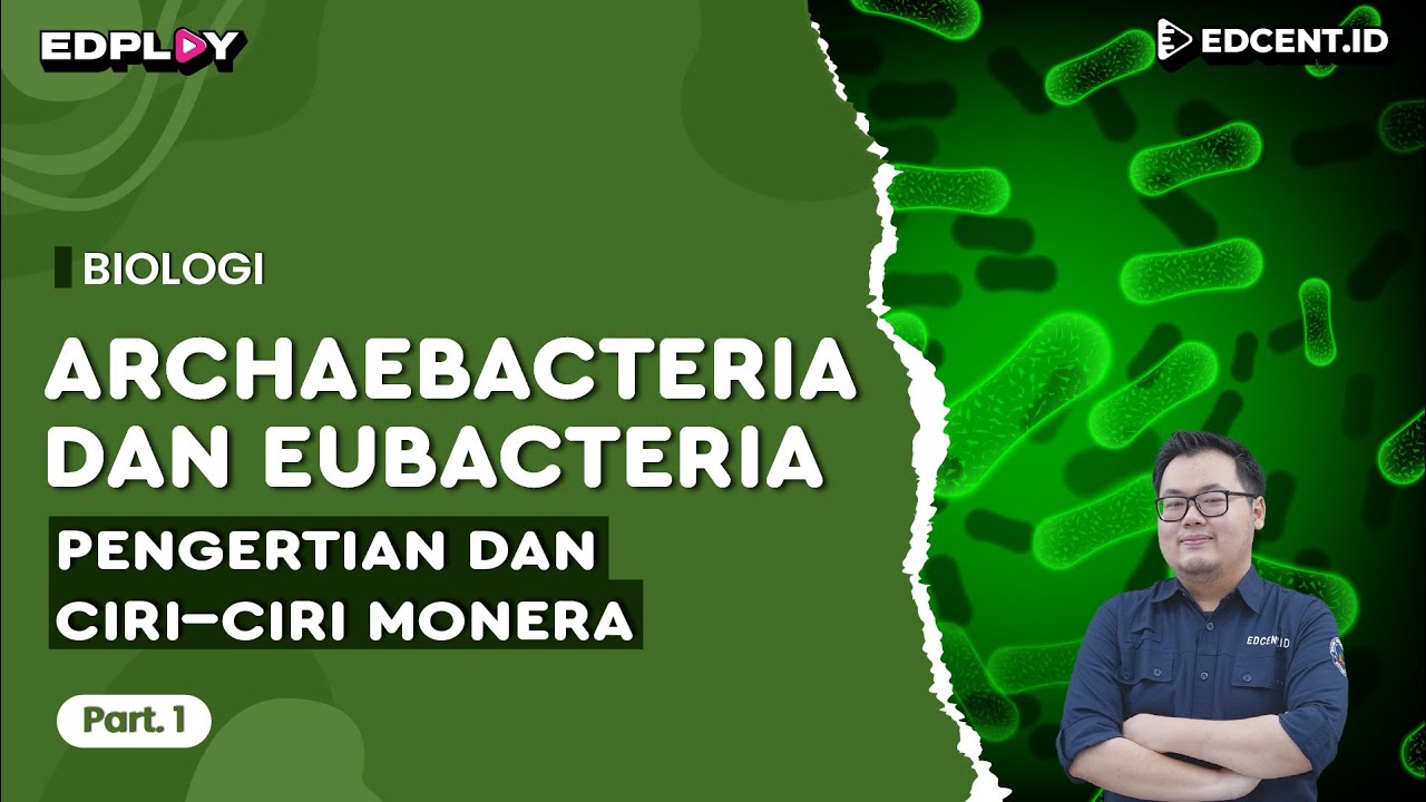 Materi Biologi: Archaebacteria & Eubacteria | Pengertian & Ciri-Ciri Monera | Part 1