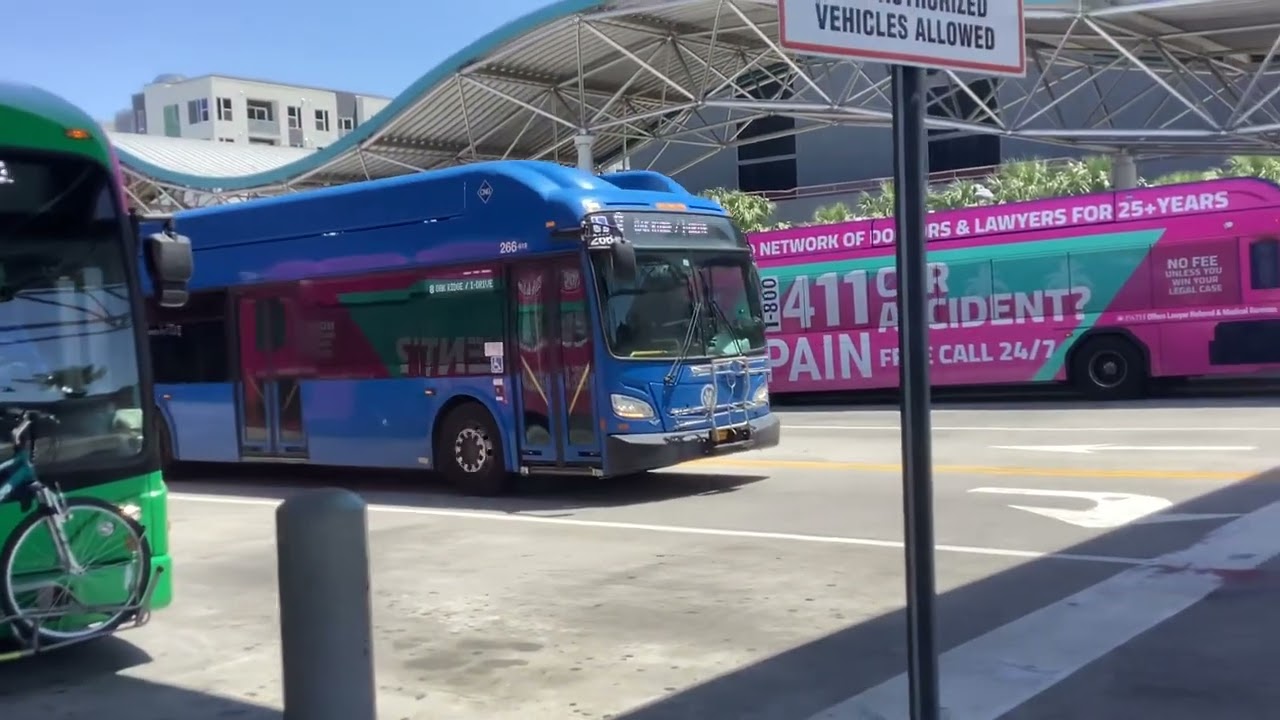 LYNX Orlando Buses In Action (May 8, 2023)