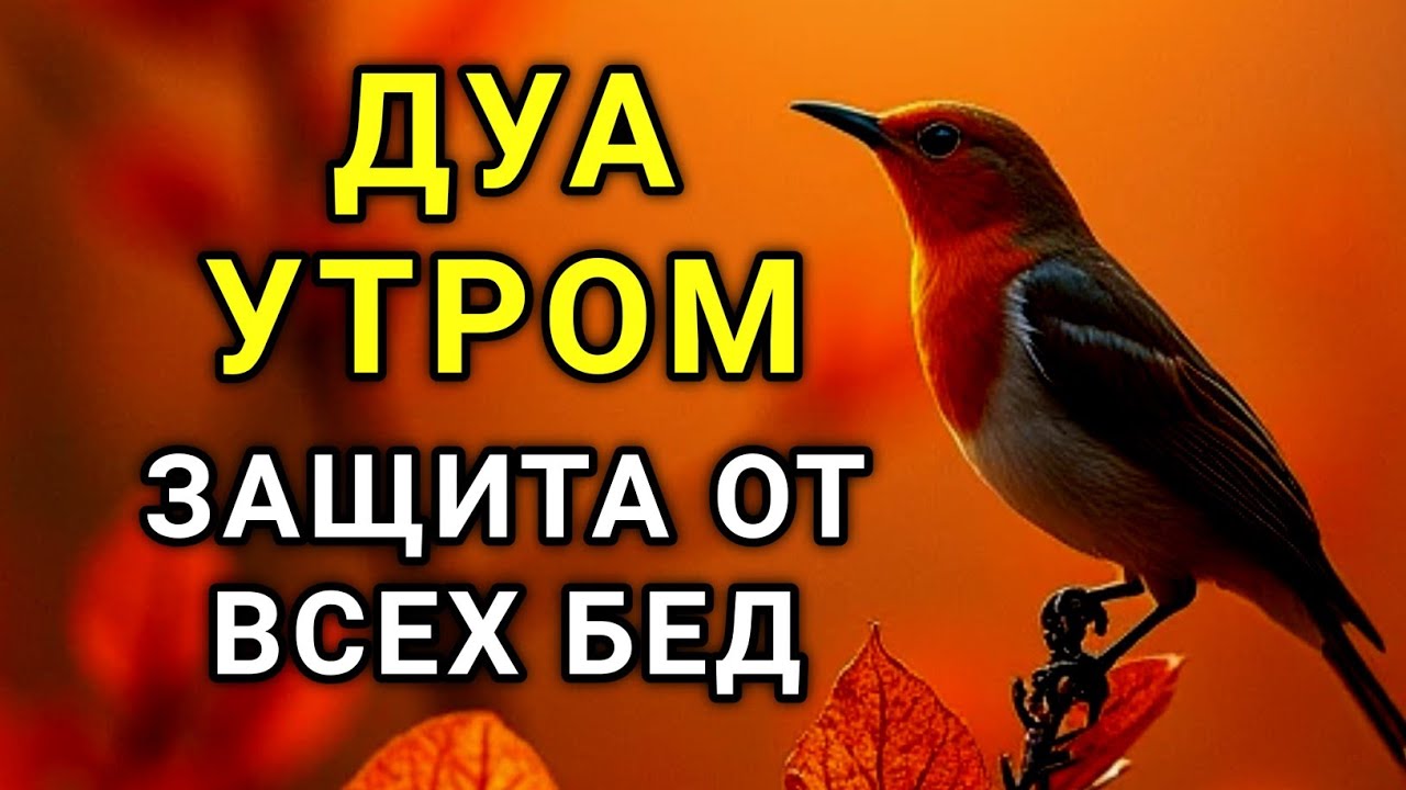 СИЛЬНЕЙШЕЕ ДУА УТРОМ ОТ ВСЕХ БЕД 🌹🌈