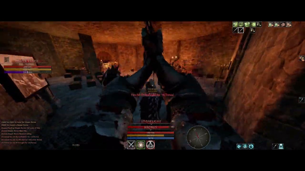 Koto season - Mortal online