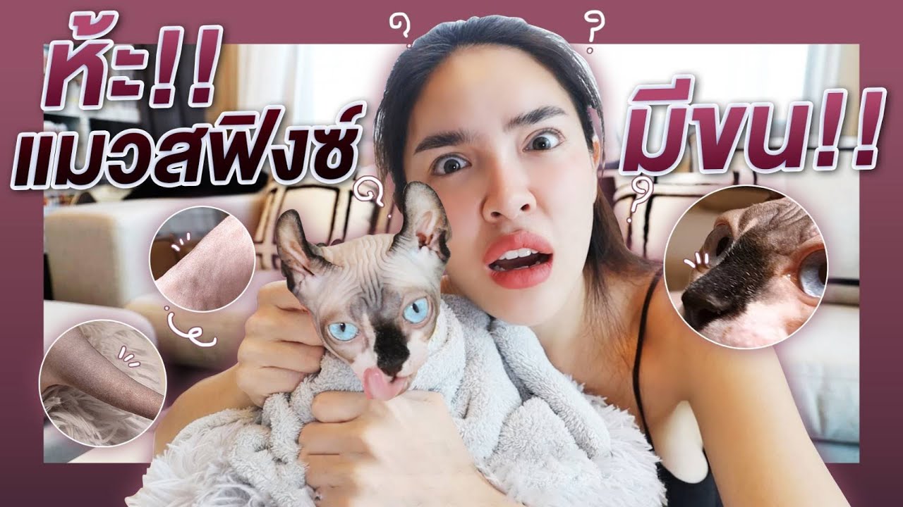 OMG!! ความลับของ