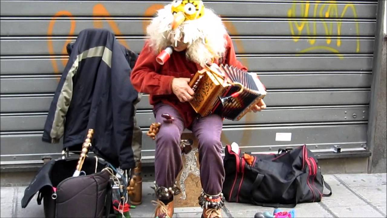 L'uccello buzzicone in via Toledo a Napoli