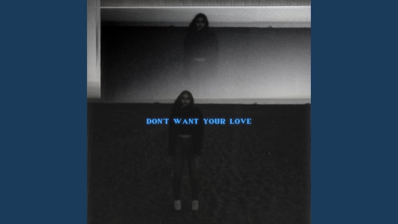 Don't Want Your Love