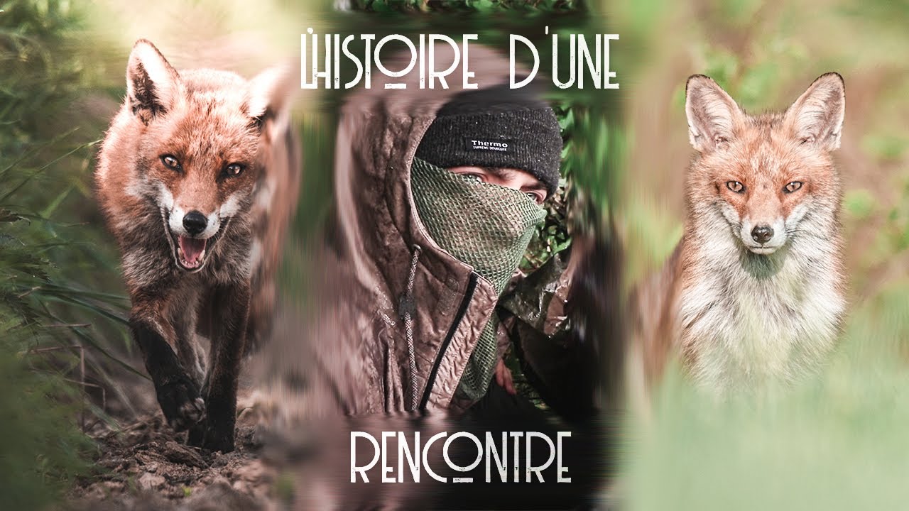 Un an plus tard, je refais sa rencontre