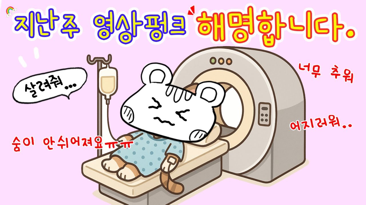 지난주 영상펑크 사건 해명합니다.. 사상 초유의 사태 (100% 실제상황)