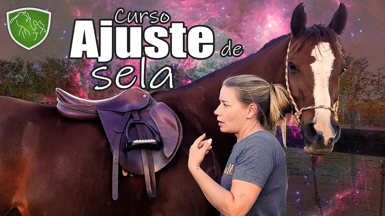 Ajuste de sela para cavalo