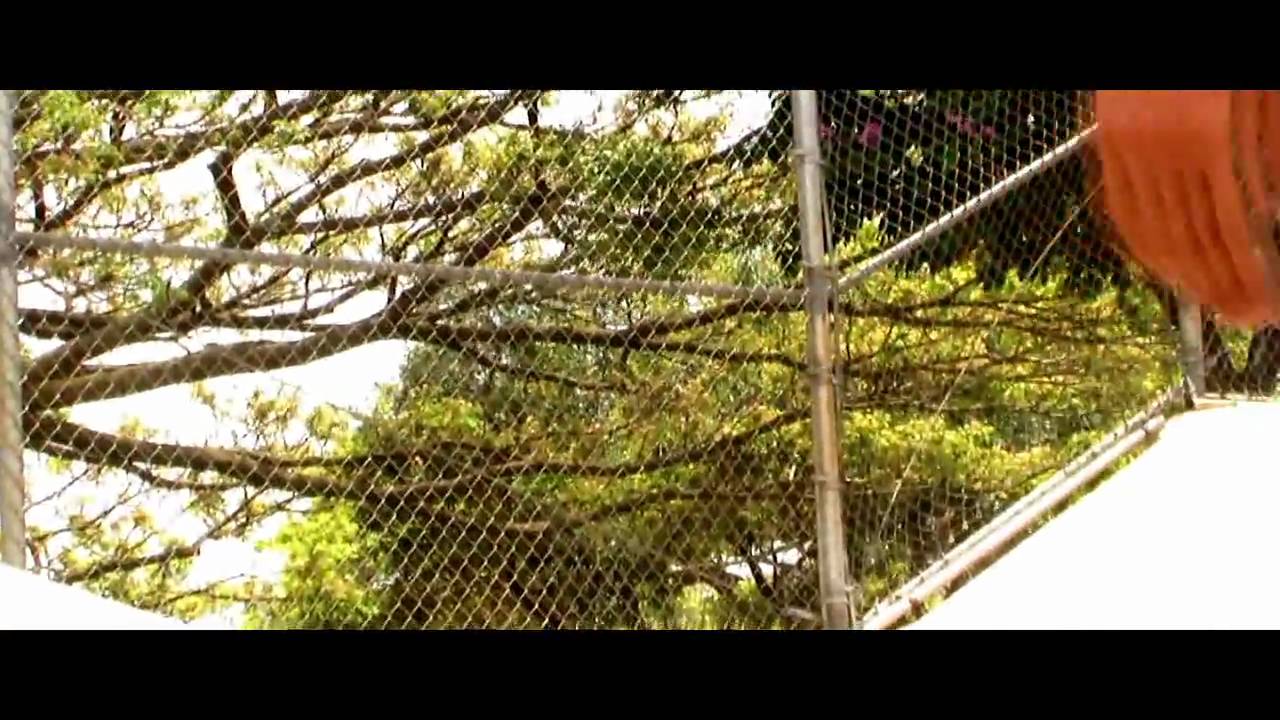 Brandon Quang G.D. Promo Part