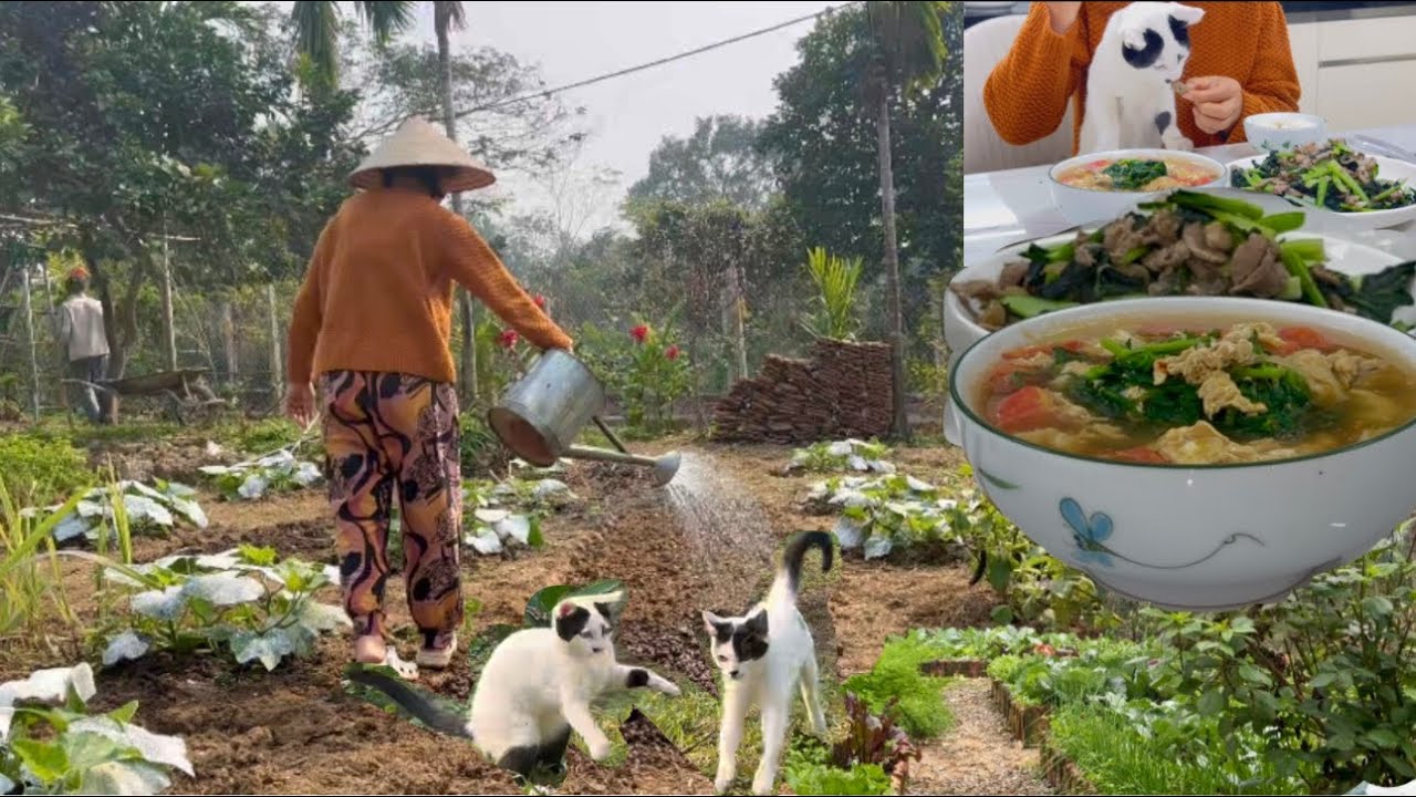 Life in a Vietnamese village home, working hard in the garden and cooking with home-grown vegetables