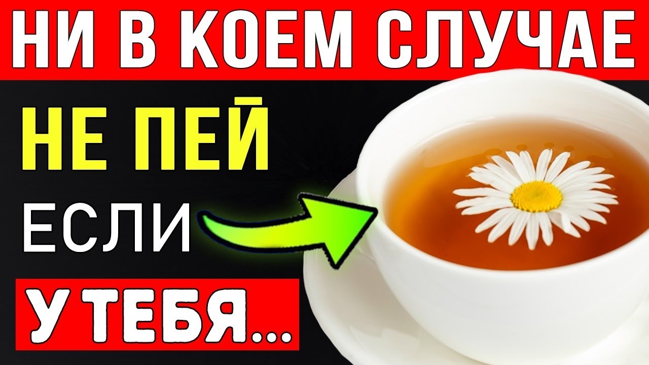 ПОЖИЛЫЕ! ЧАЙ ИЗ РОМАШКИ МОЖЕТ БЫТЬ ОПАСНЕЕ, ЧЕМ ВЫ ДУМАЕТЕ 😱