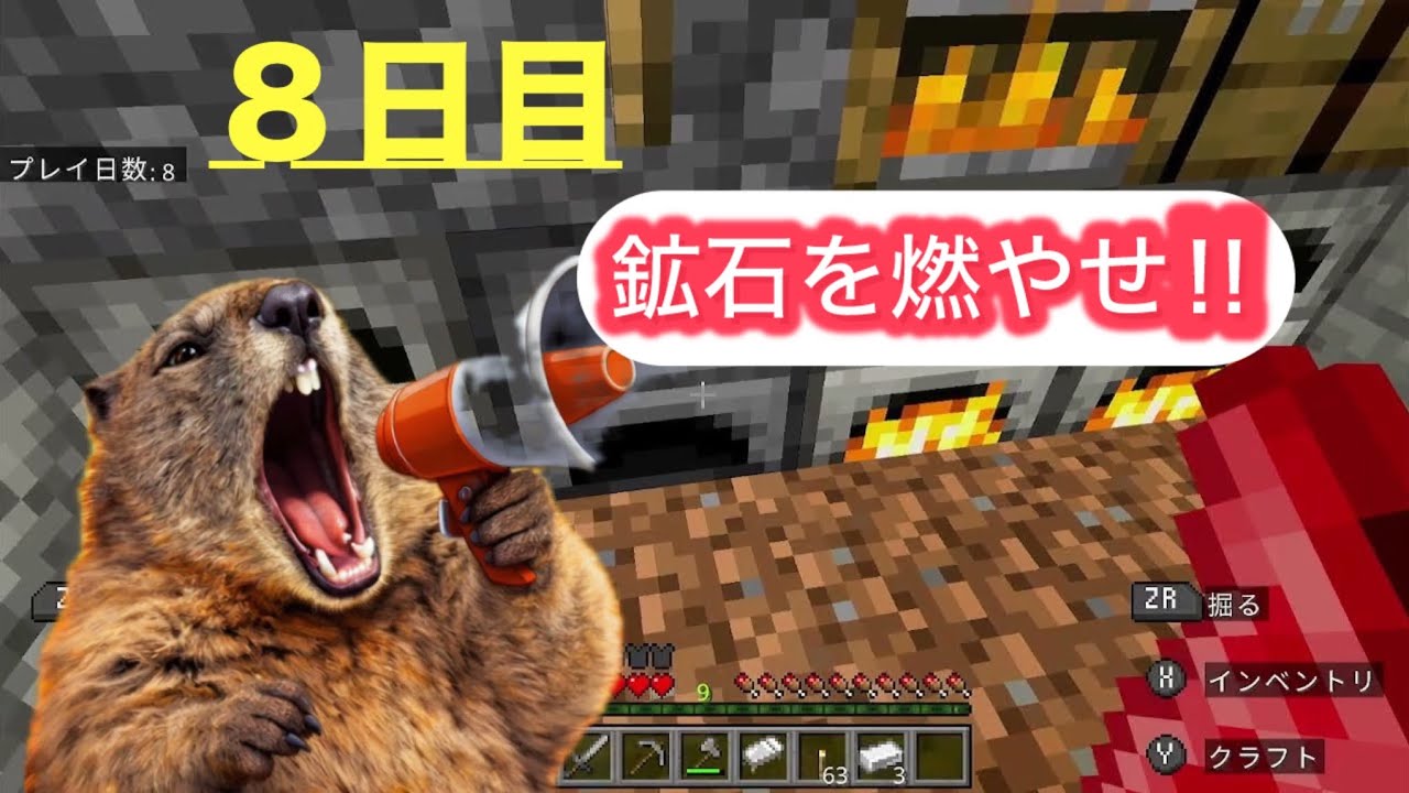 【マイクラ】家族で1人1日ずつ日替わりで進めたら何日でエンドラ討伐できる？｜8日目