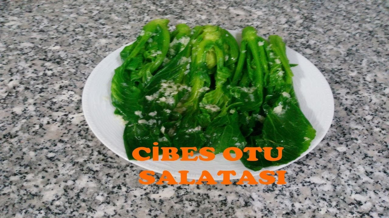 CİBES OTU SALATASI NASIL YAPILIR? OT YEMEKLERİ - 52025