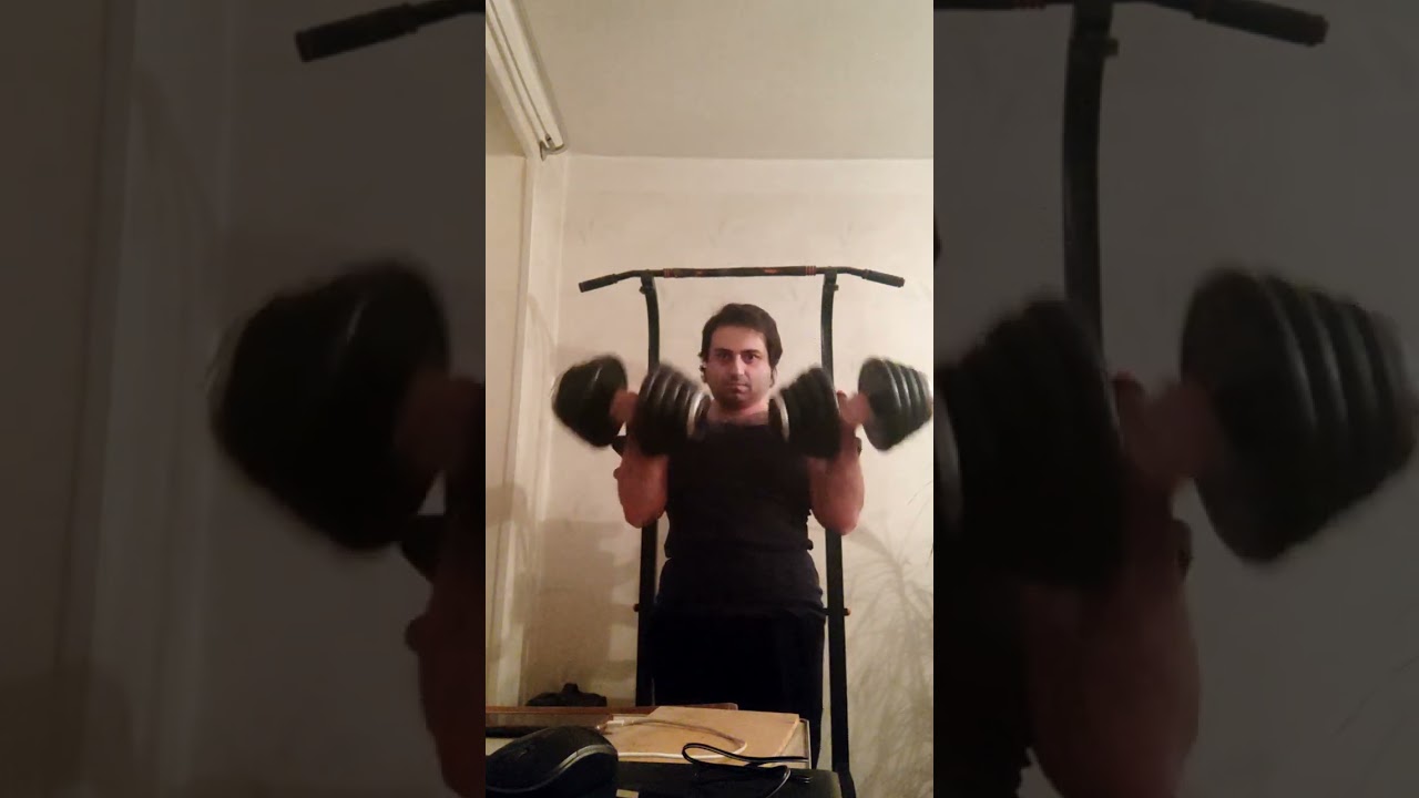 Biceps workout 2023-11-22