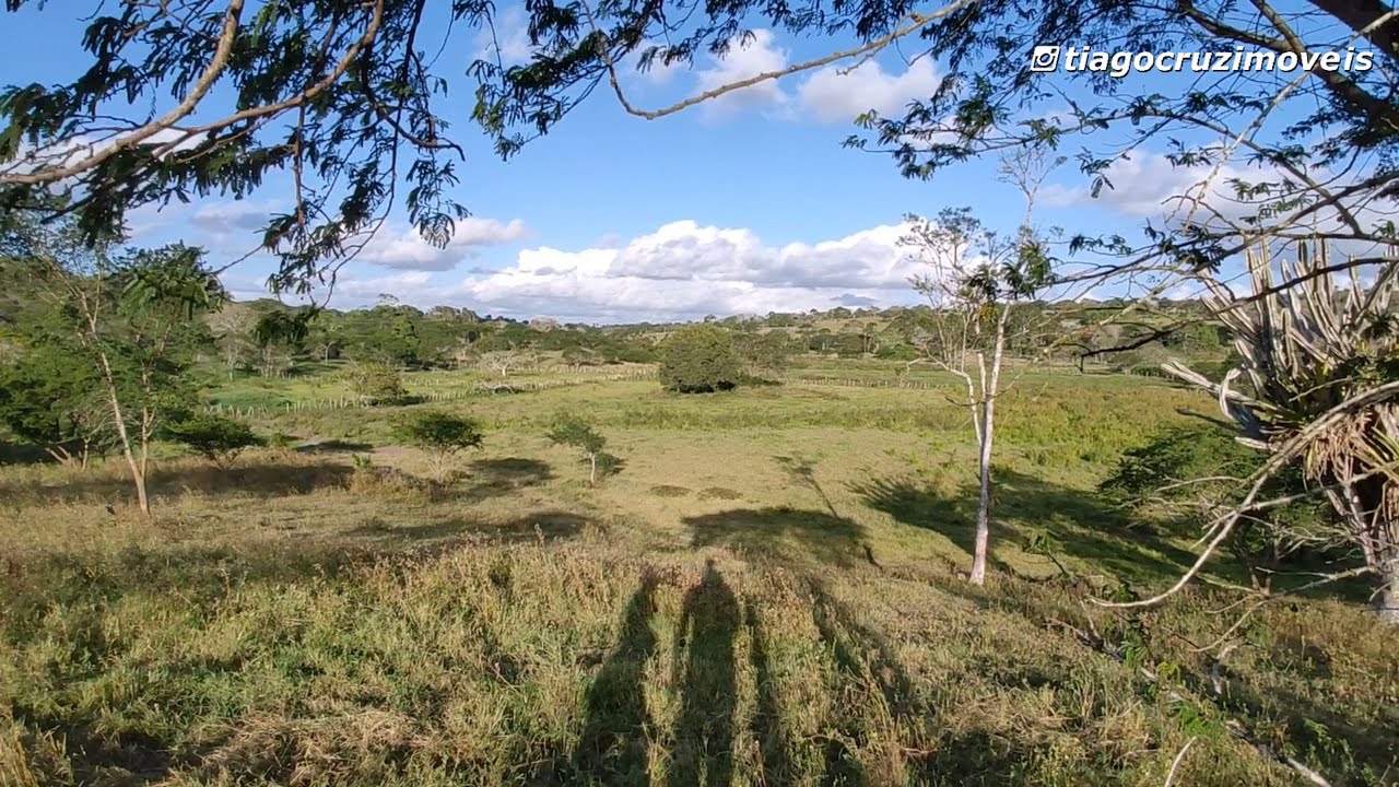 EXECELENTE OPORTUNIDADE CHÁCARA COM MAIS DE 6 HECTARES, CASA E MUITA ÁGUA POR 520 MIL REAIS
