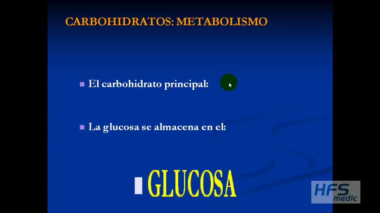 BIOQUIMICA CARBOHIDRATOS aspectos básicos aplicados al ejercicio físico