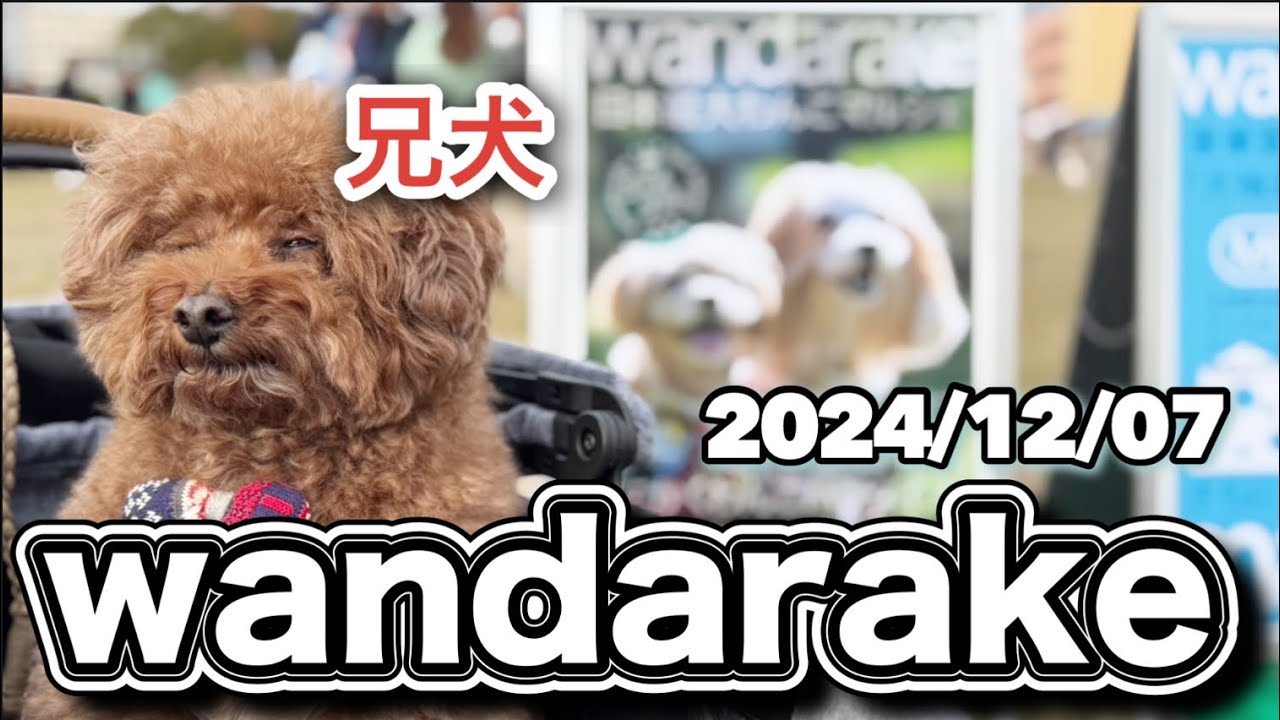 【わんだらけ37】日本最大マルシェ行ってキタキタwww