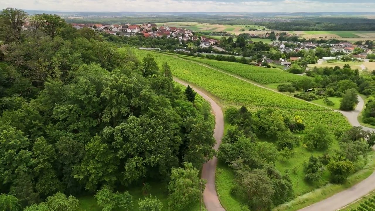 Hohenhaslacher Weinberge (4K), DJI 4 Mini Pro