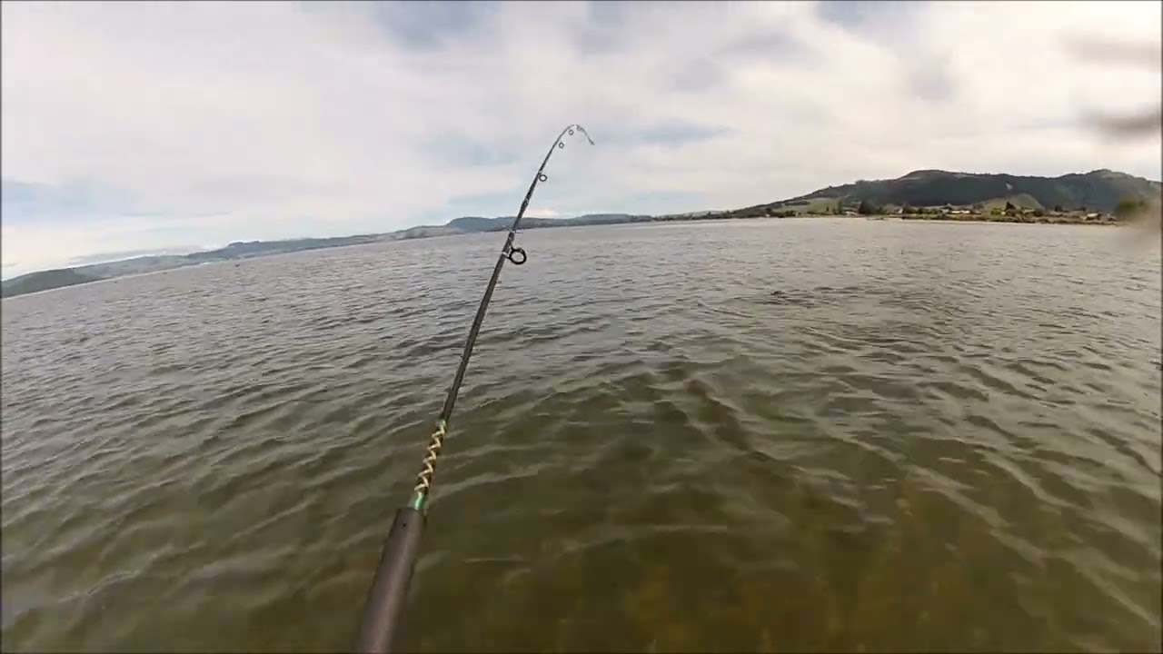 NEW ZEALAND TROUT FISHING SWOME KIND OF A THING 6