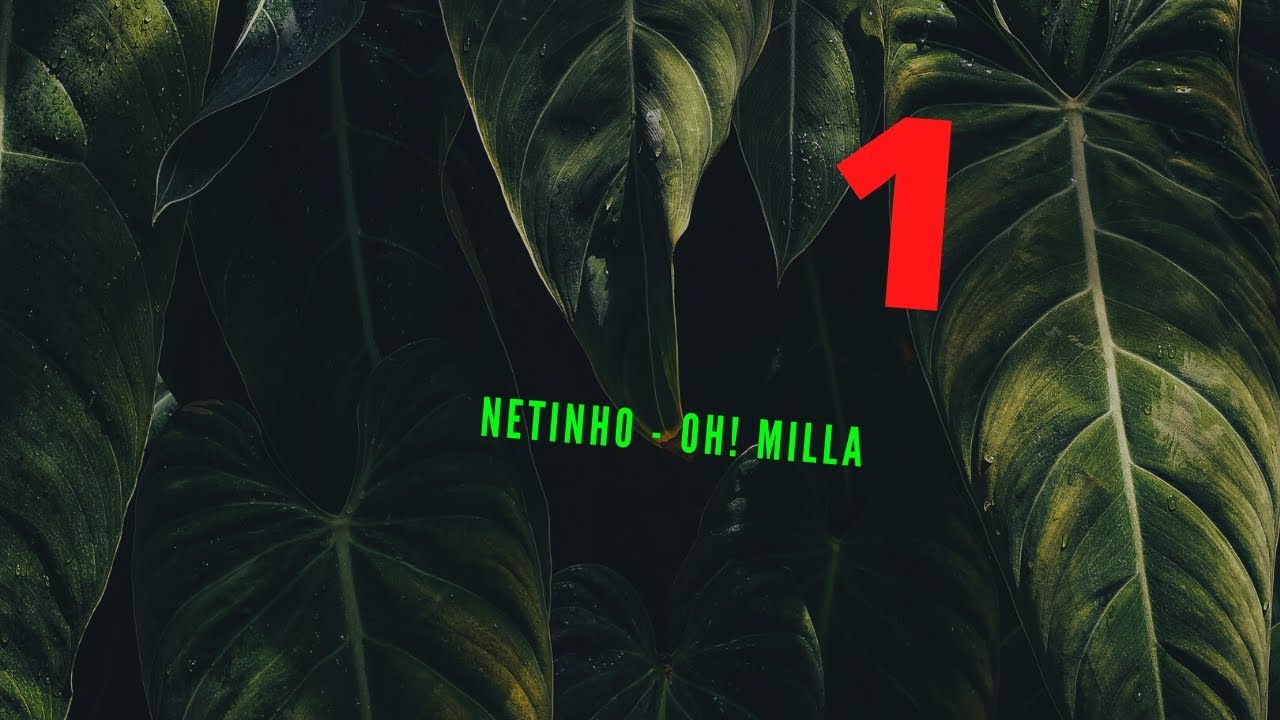 Netinho - Oh! Milla Letra