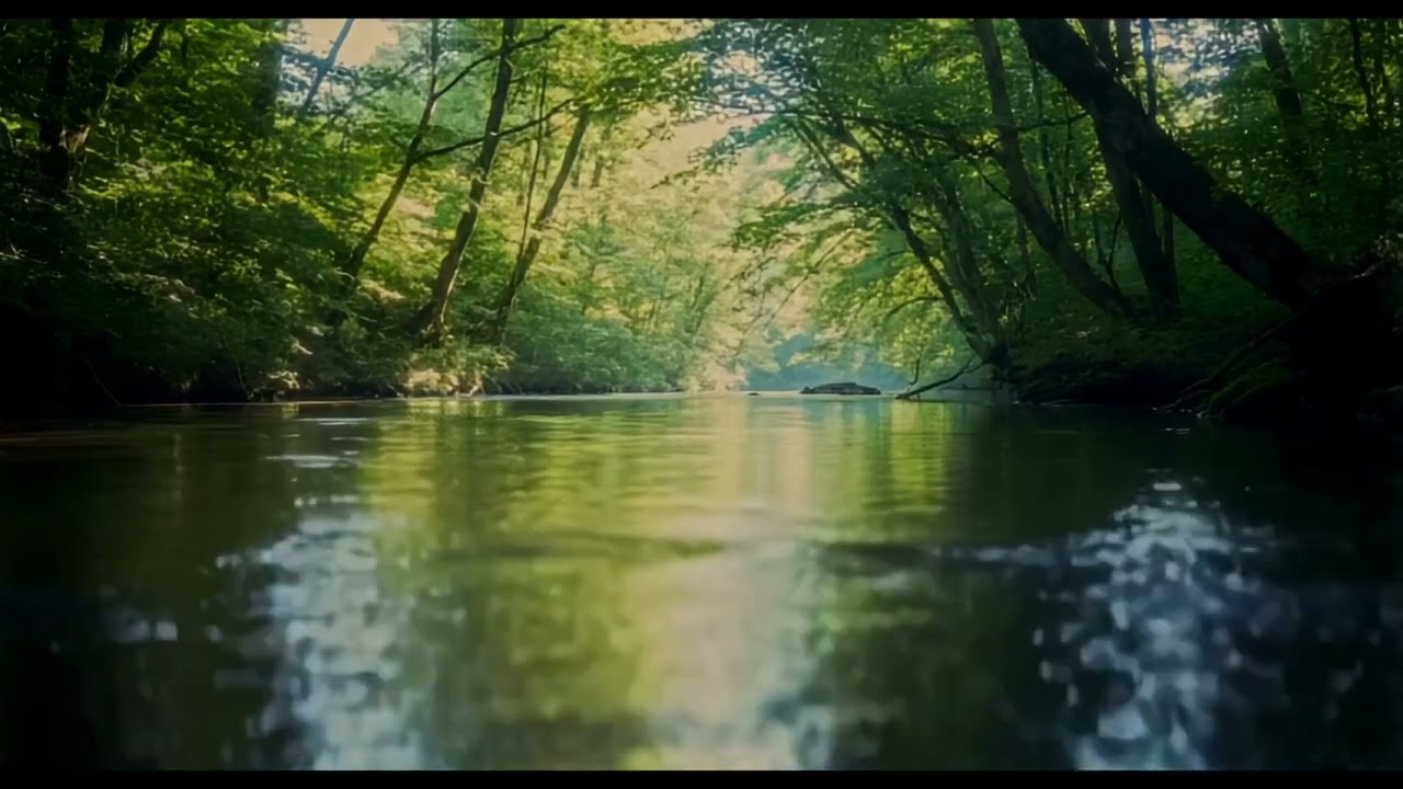 Beauty of Nature in a serene environment Relaxing