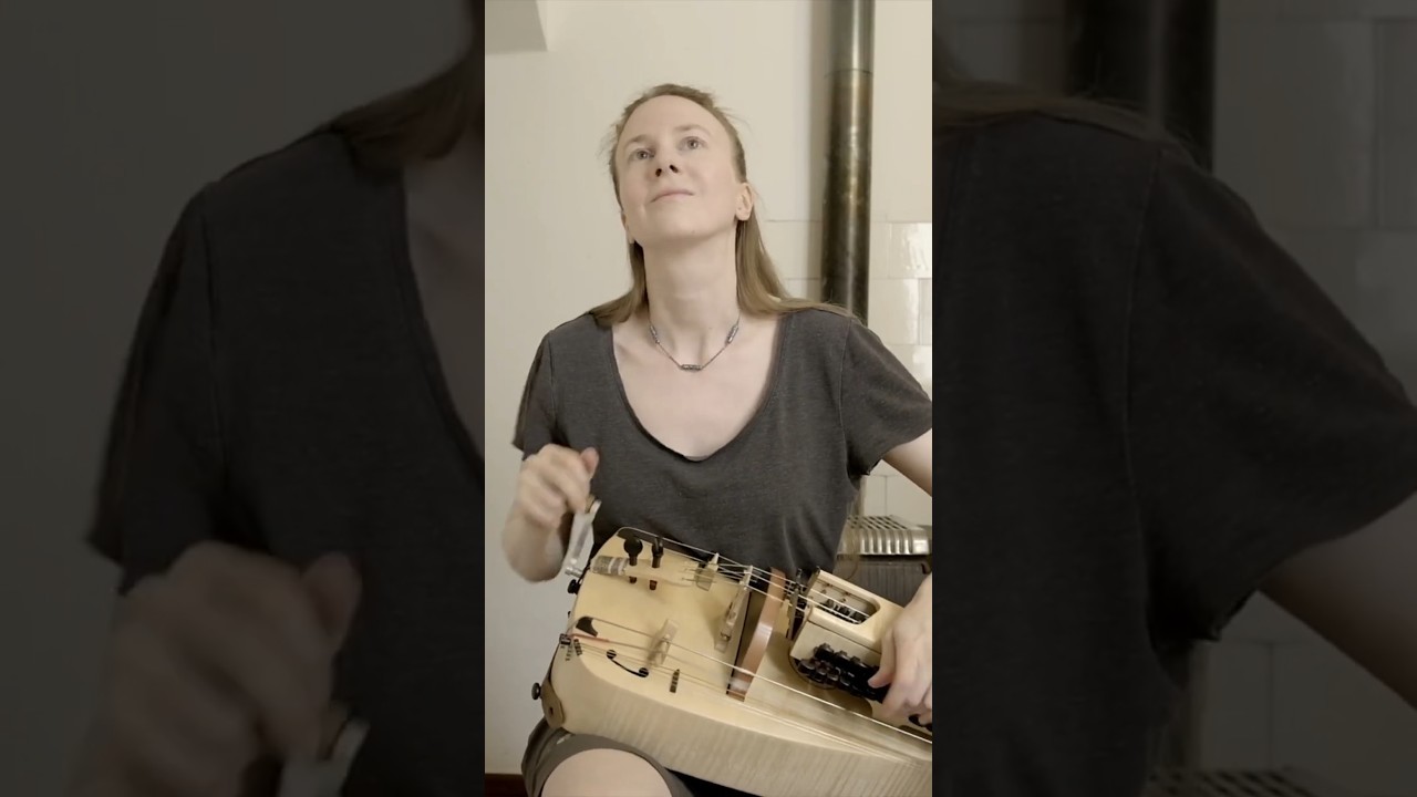 French Dance Music on Hurdy-Gurdy #hurdygurdy #folk #traditional