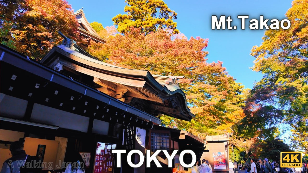 Mt.Takao Walking Tour at Tokyo, Japan 2025.