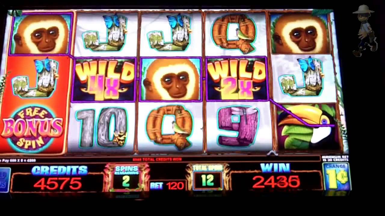Multimedia Gaming - Wild Rainforest Slot Bonus