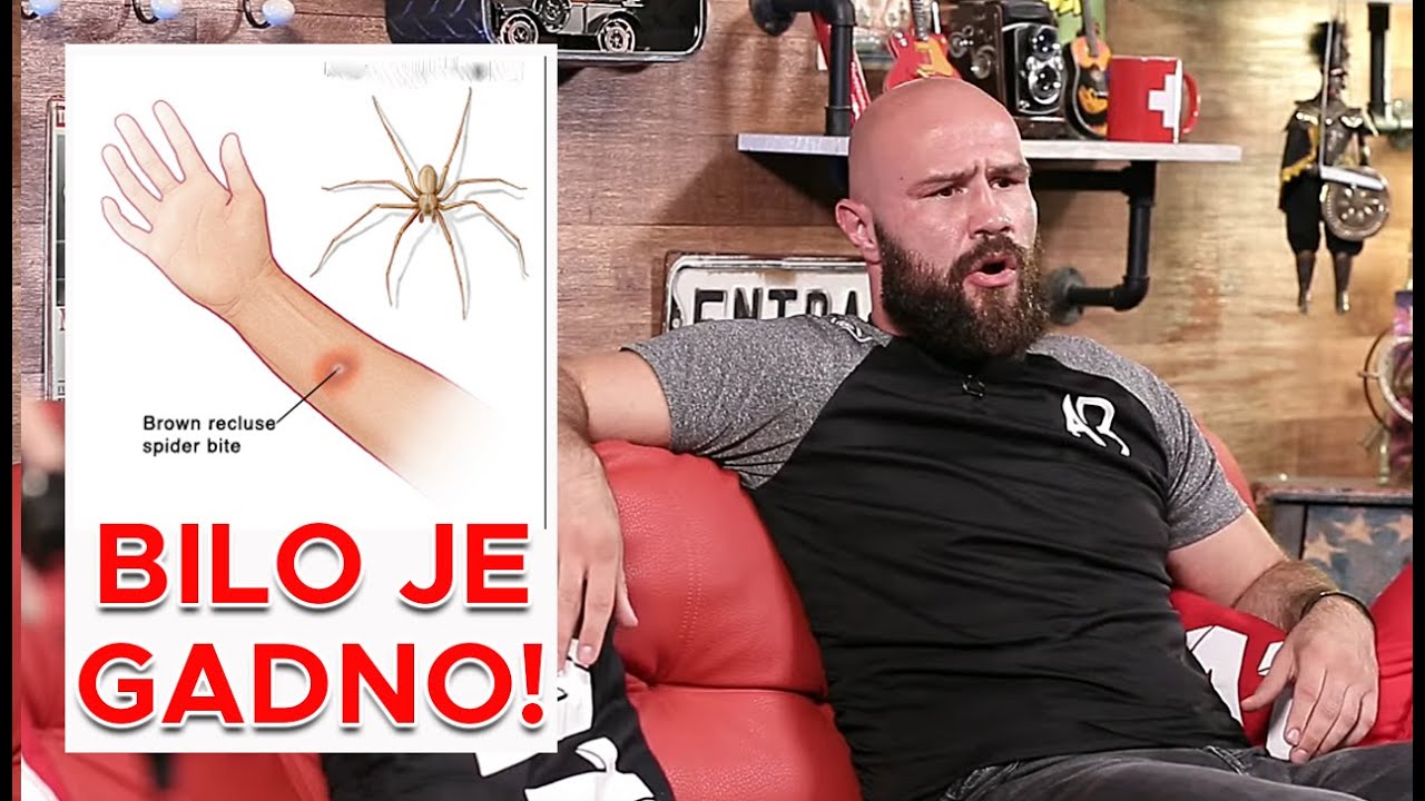 Alen Babić - 