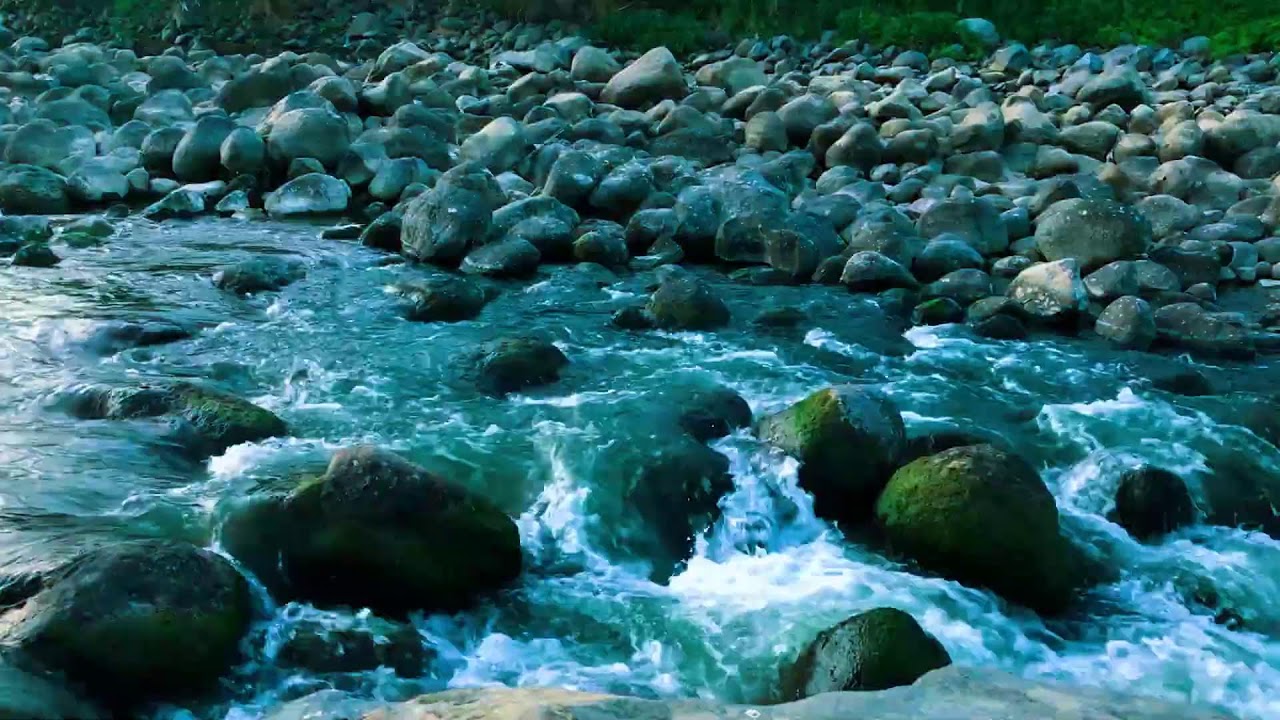 Serene Riverbank Flow | For Sound Sleep, Worry Relief & Mindfulness