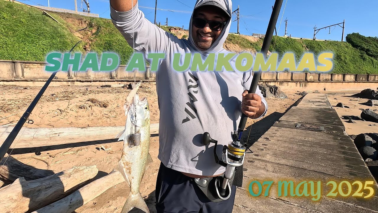SHAD AT UMKOMAAS