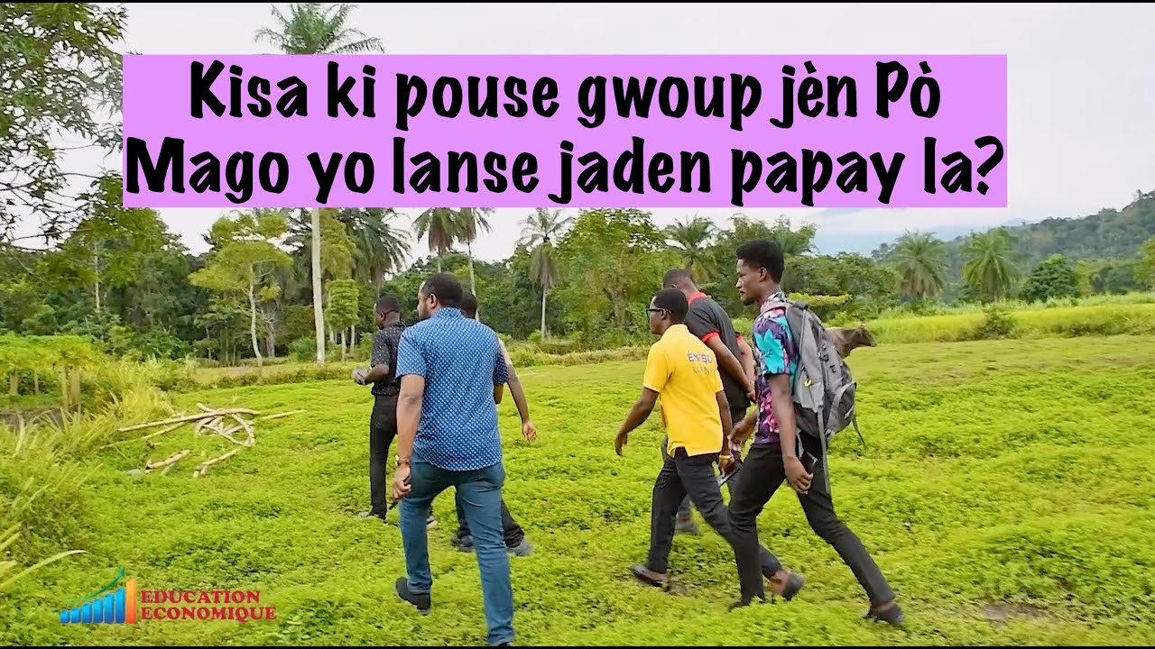 Kisa ki pouse gwoup jèn Pò Mago yo lanse jaden papay la?