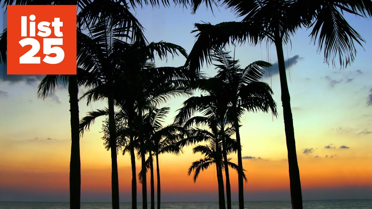 25 Things You Really Need To Know About Living In Florida