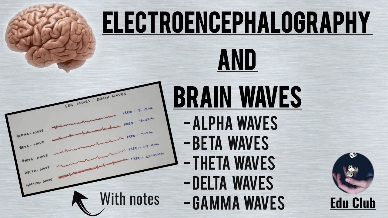 EEG and Brain waves