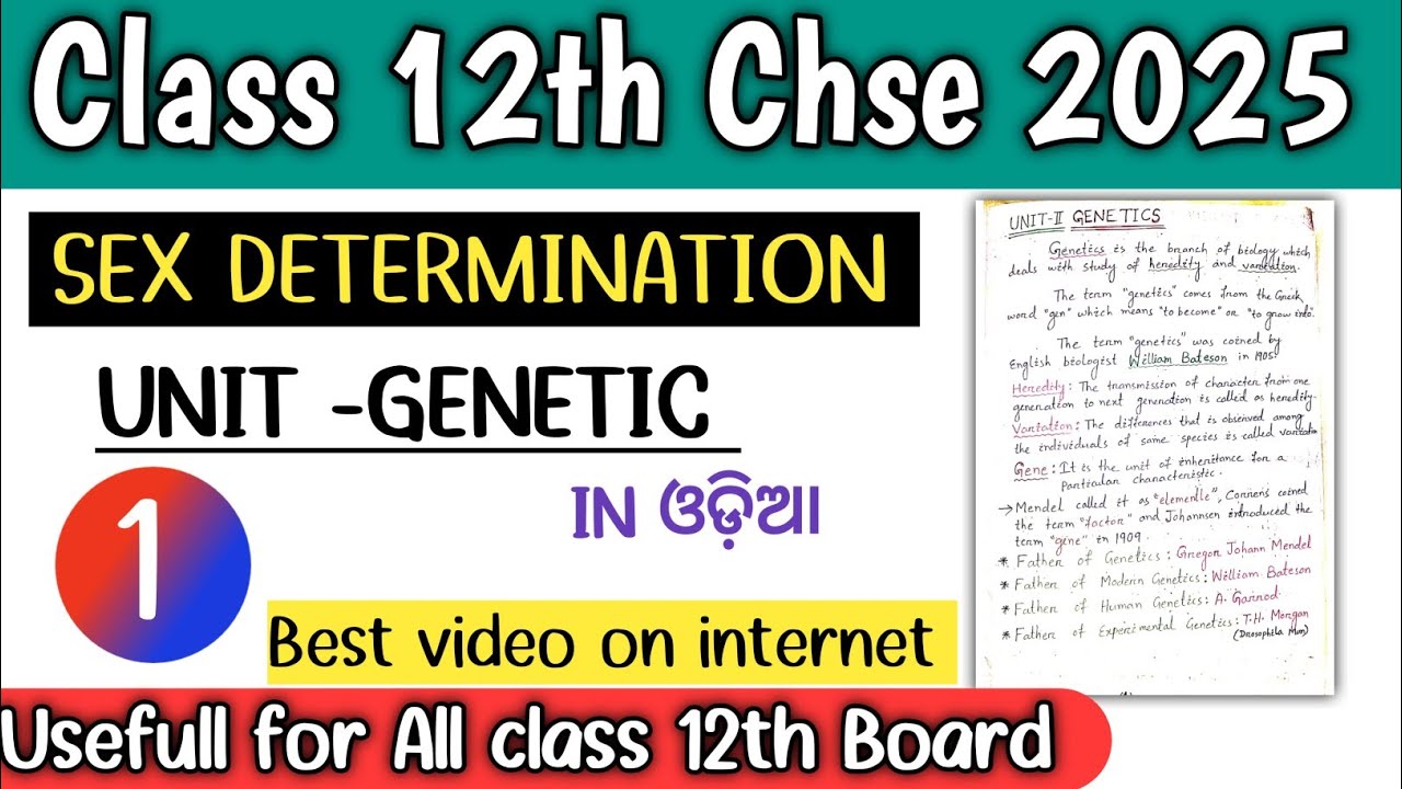 Class 12th Genetic Chse 2025 || Sex Determination Class 12th | Class 12th odisha