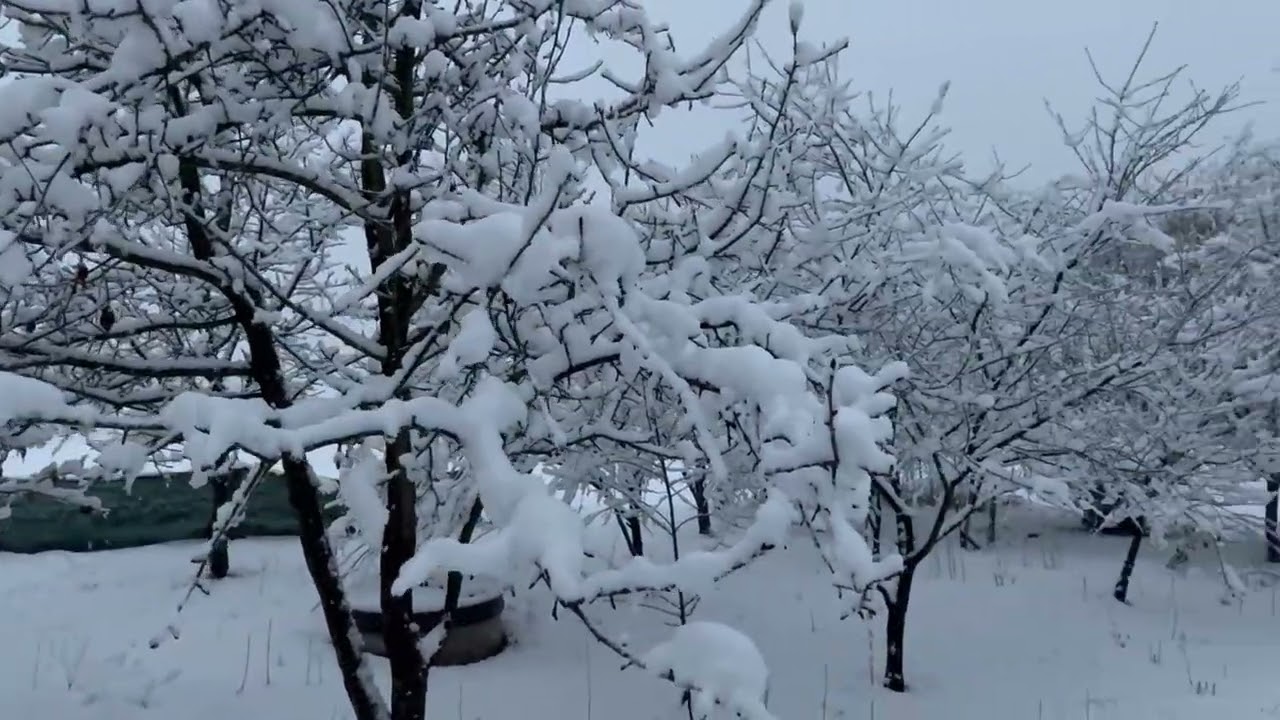 Snijeg Liješnica Maglaj