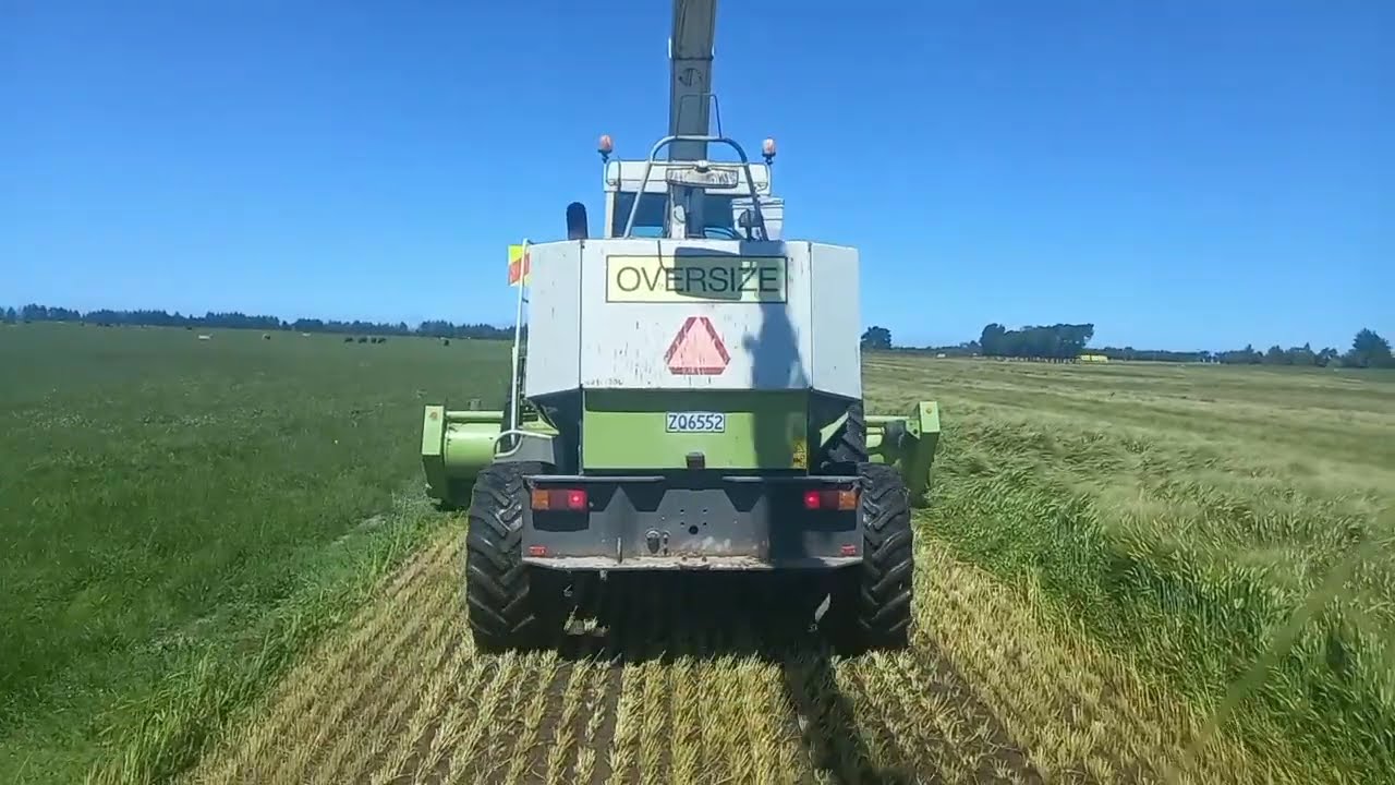 First Time I looking what the farm works. 