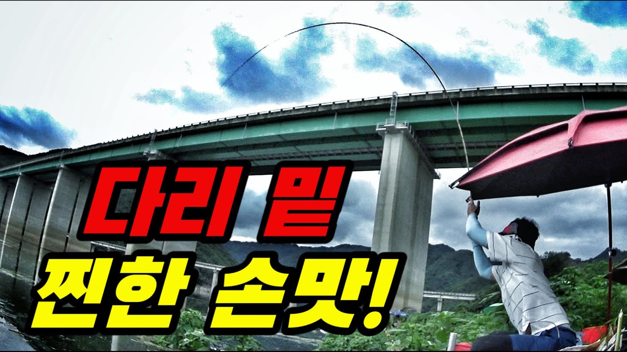 (SUB) BIG CARP is under the Bridge!! CARP FISHING! へらぶな