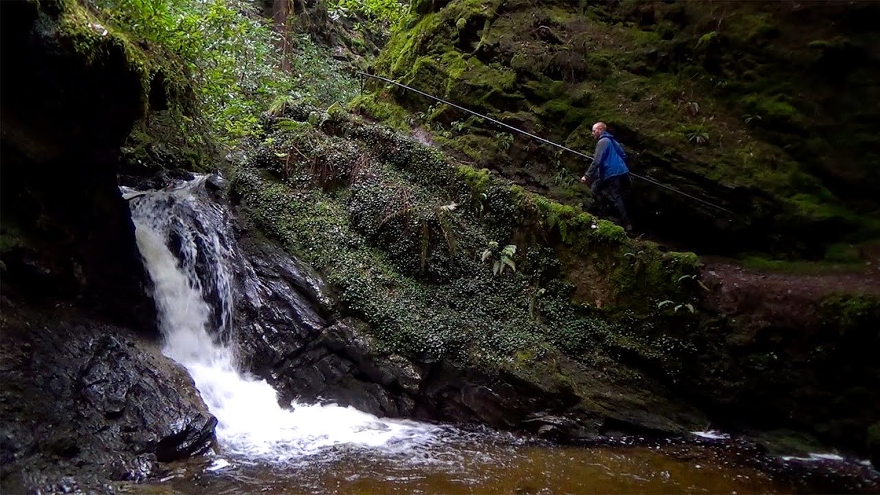 Blethering Ben - 81 - A walk up Puck's Glen